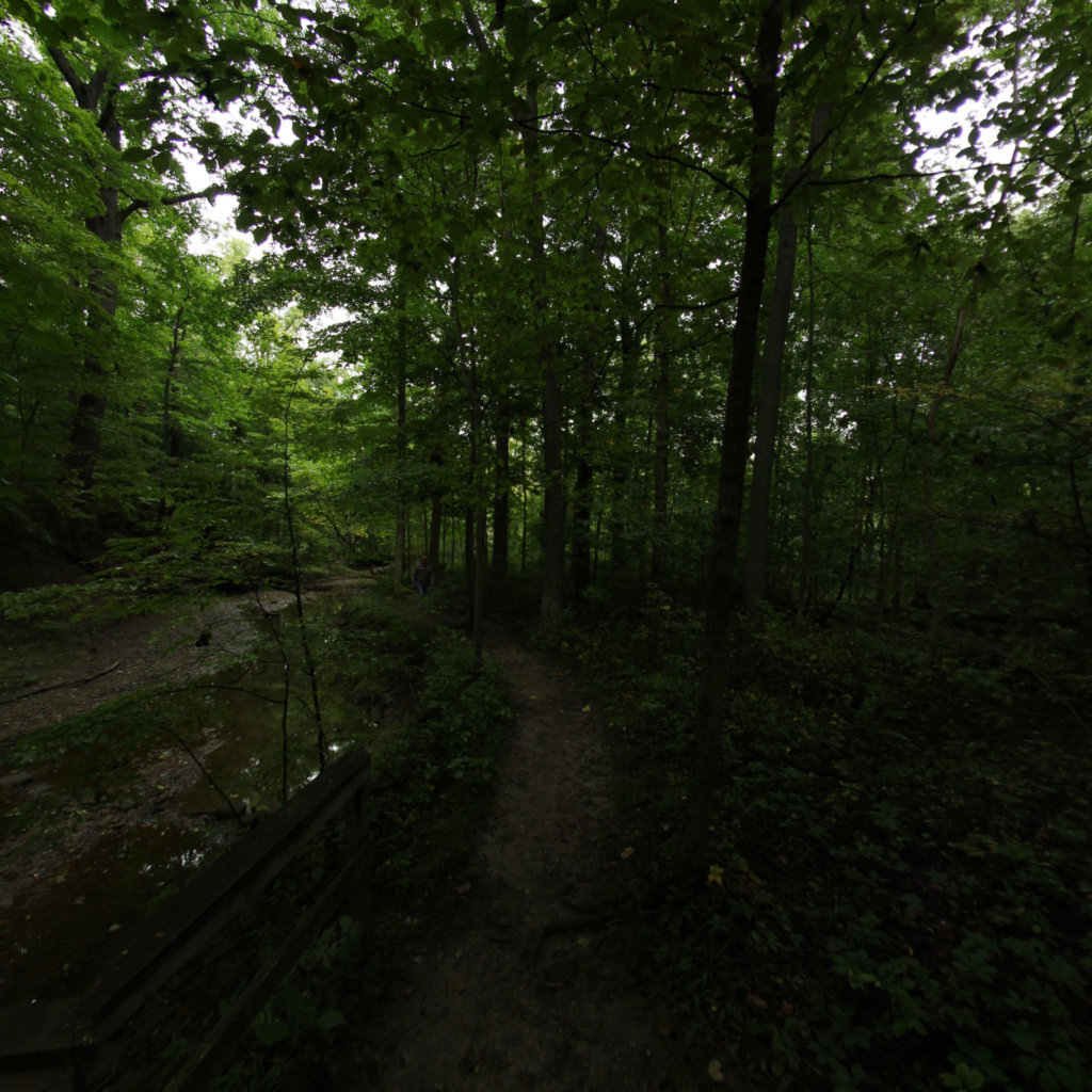 Fitzgerald Park 6 scene image looking forward