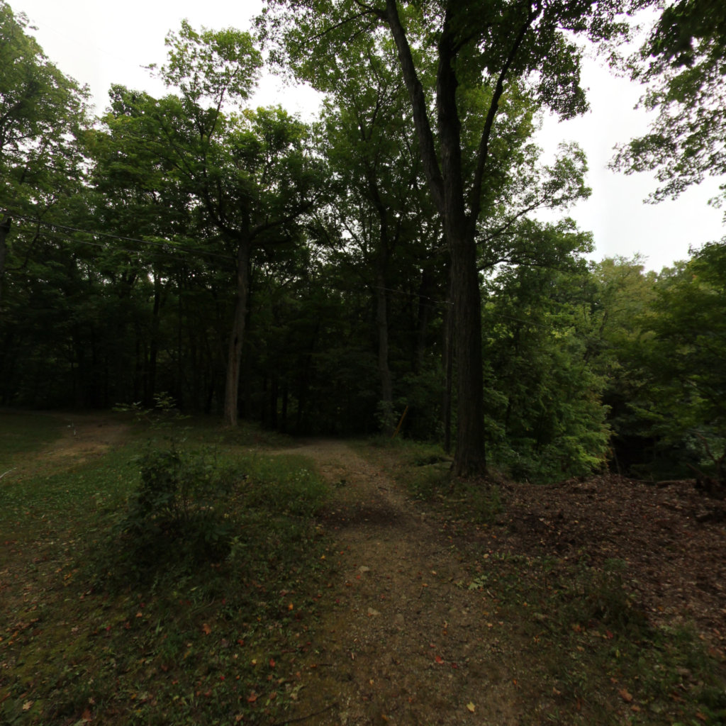 Fitzgerald Park 7 scene image looking forward