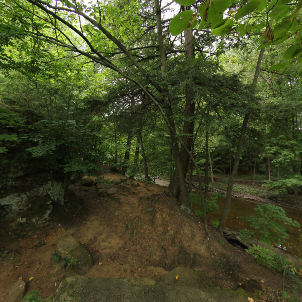 Fitzgerald Park 8 scene image looking forward