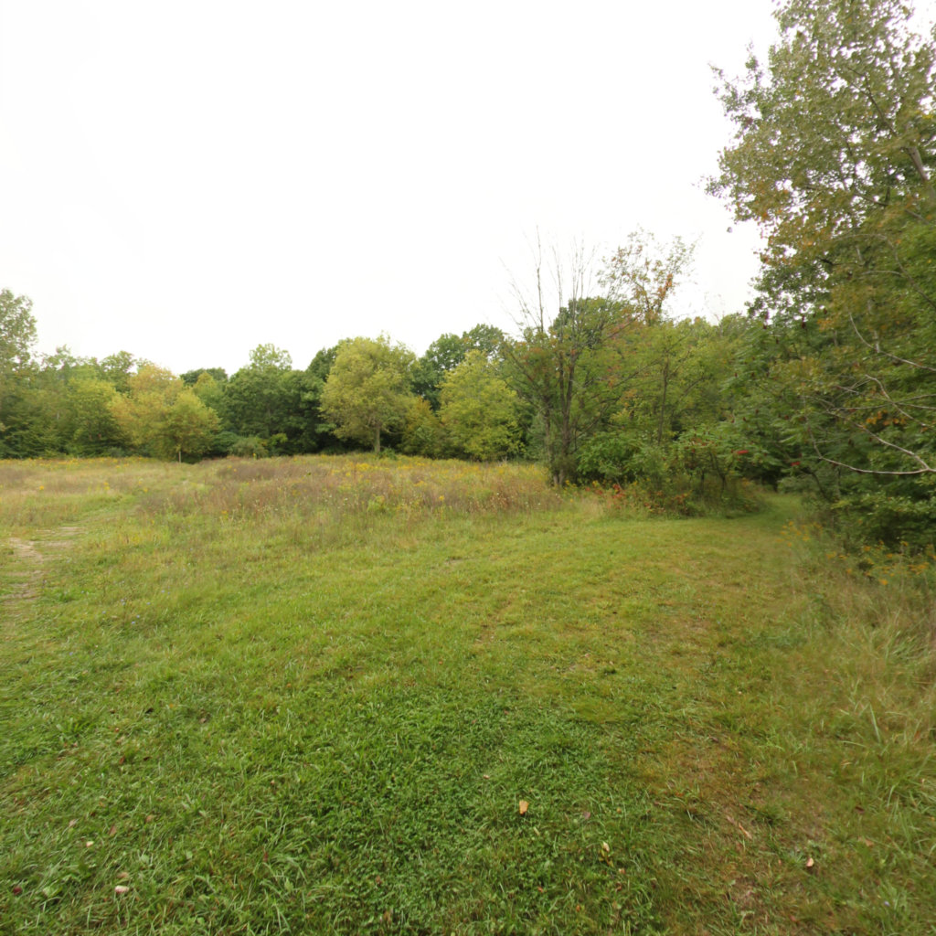 Fitzgerald Park 9 scene image looking forward