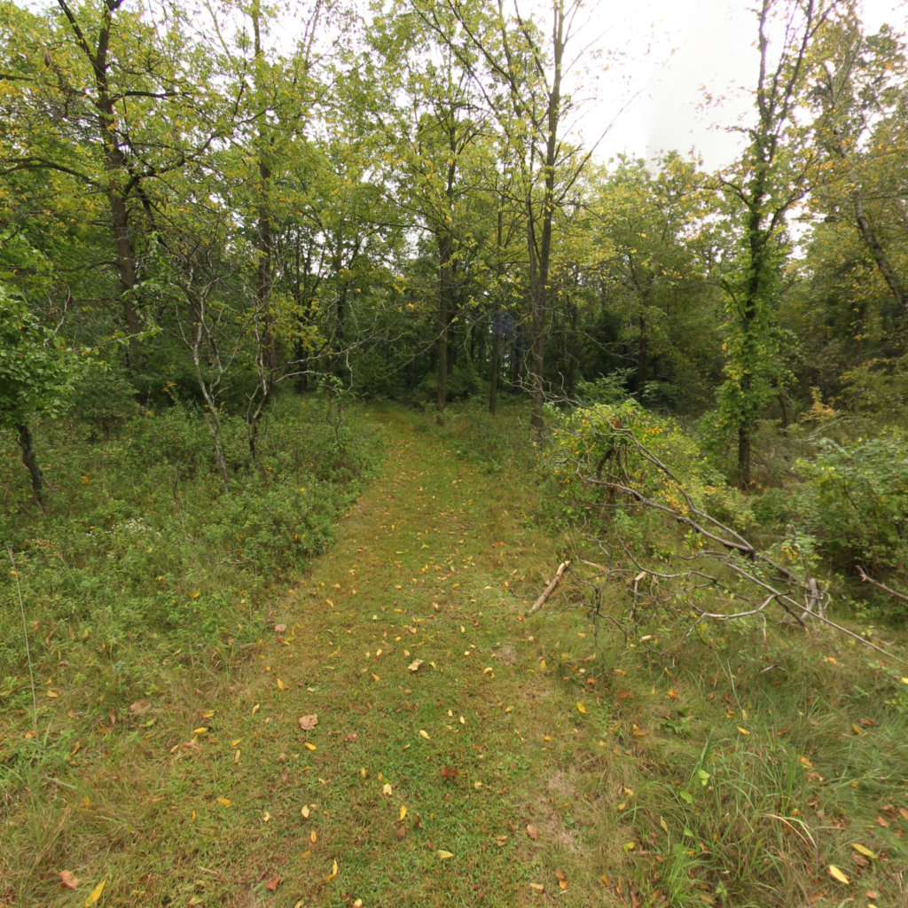 Fenner Nature Center 3 scene image looking forward
