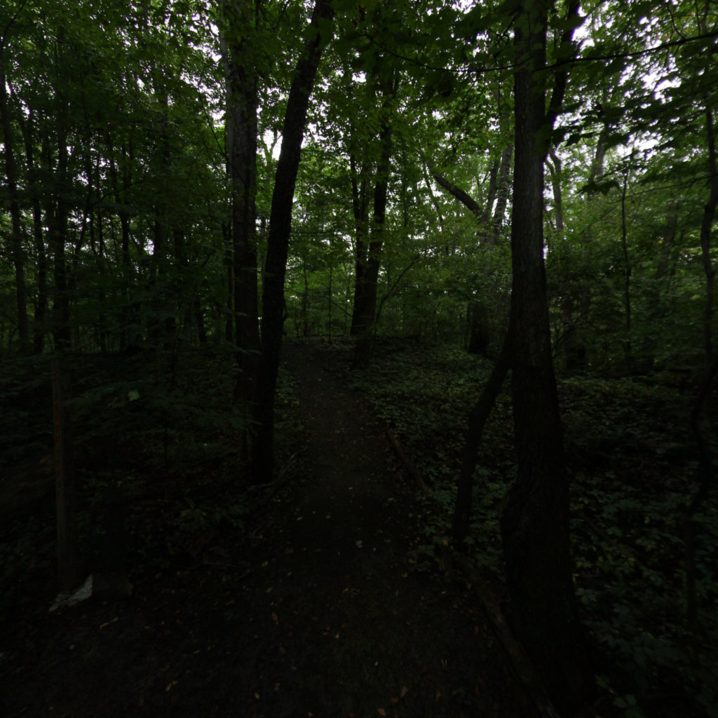 Fitzgerald Park 5 scene image looking forward