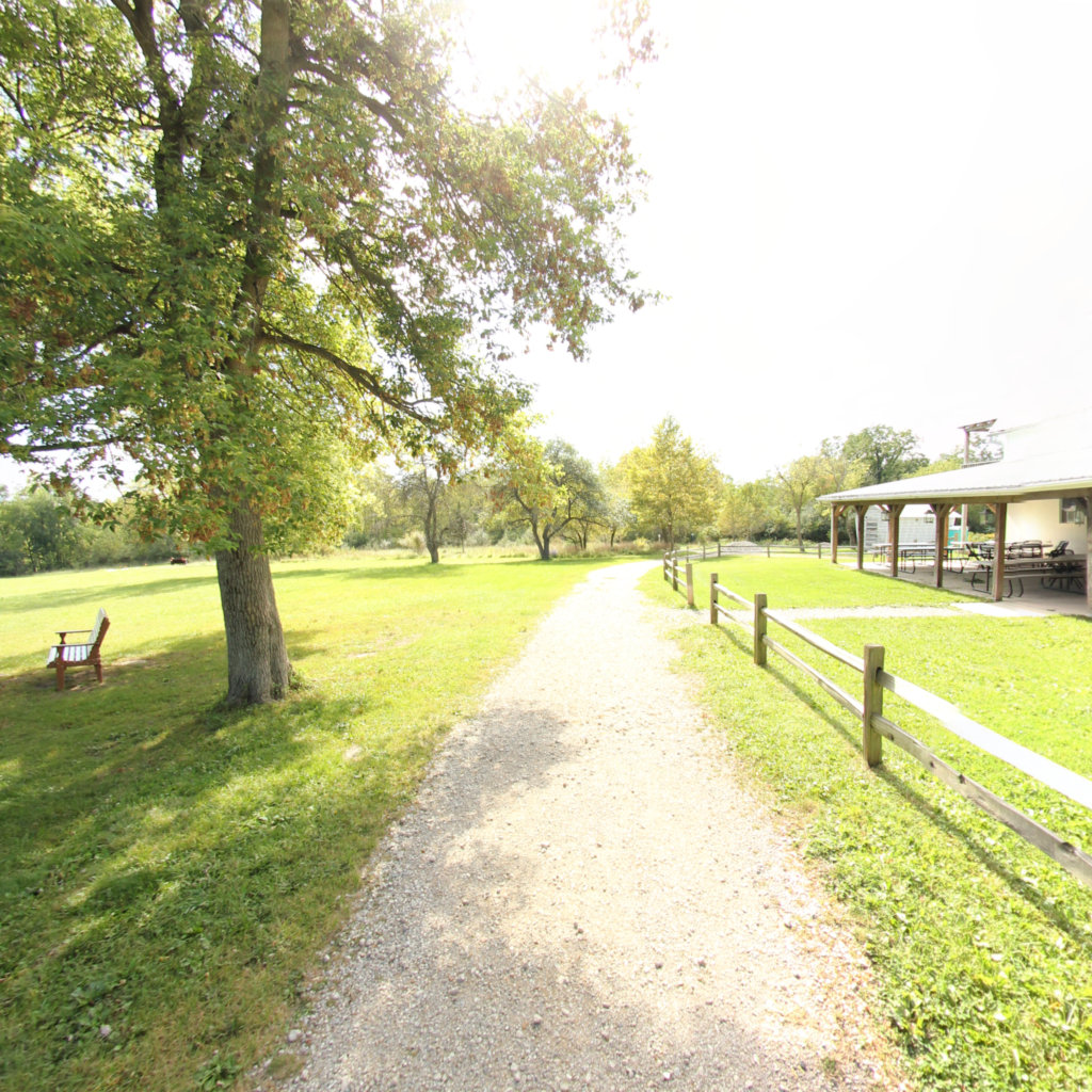 Woldmar Nature Center 5 scene image looking forward