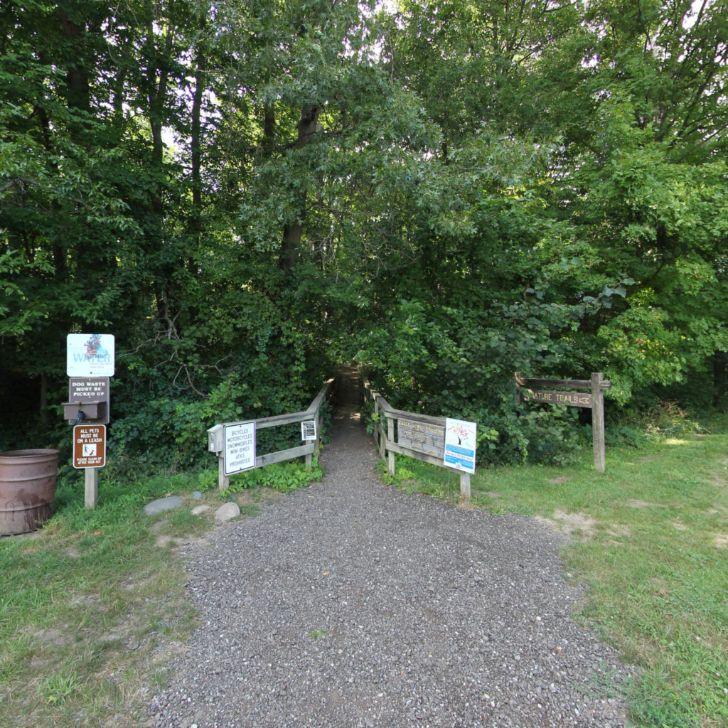 Fitzgerald Park 1 scene image looking forward