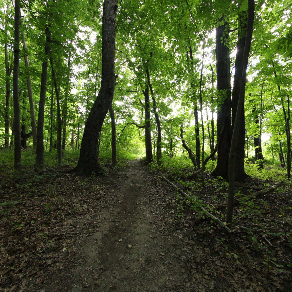 Lincoln Brick Park 2