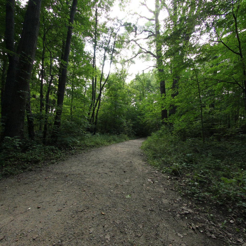 Lincoln Brick Park 5