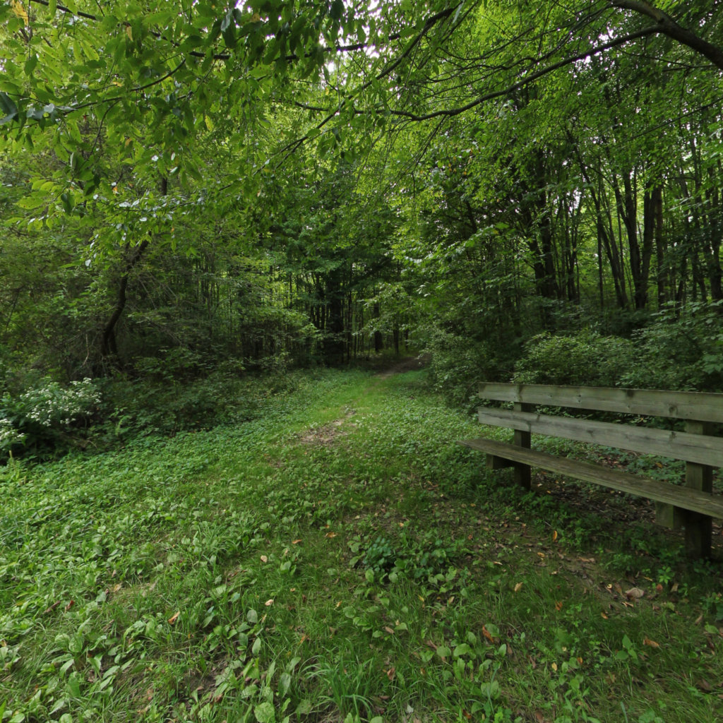 Padgett Natural Area 2