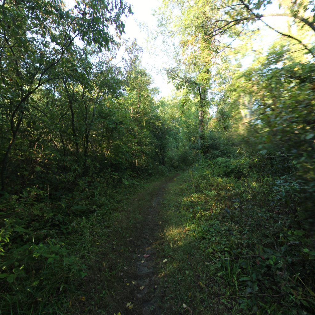 Sleepy Hollow Connector