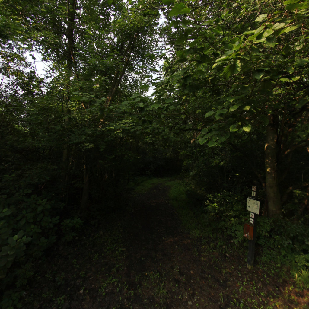 Algonac-Oak Savanna State Park Trail