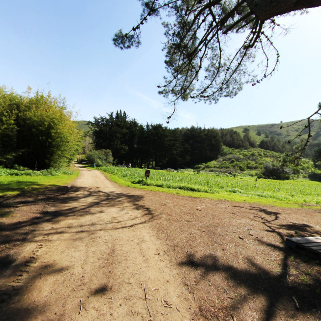 Middle Green Gulch Trail