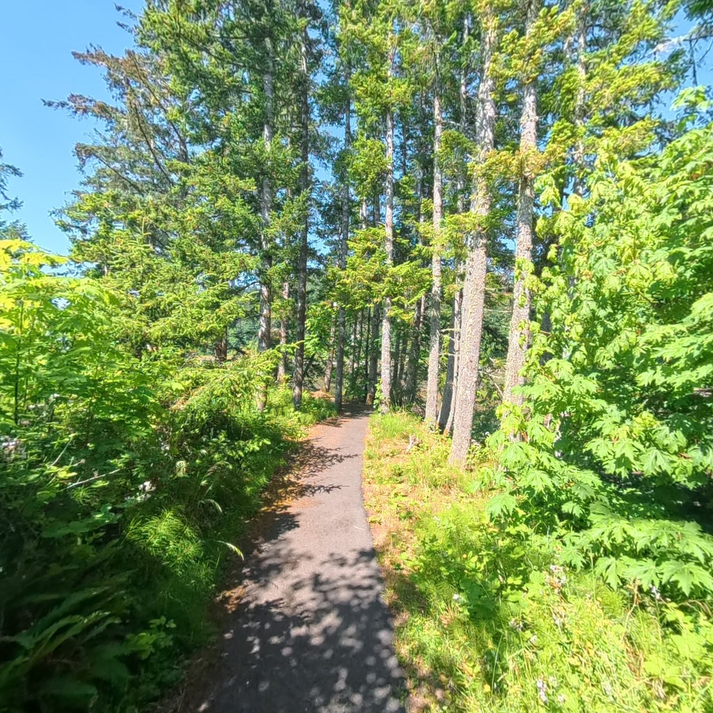 Dismal Nitch Rest Area scene image looking forward