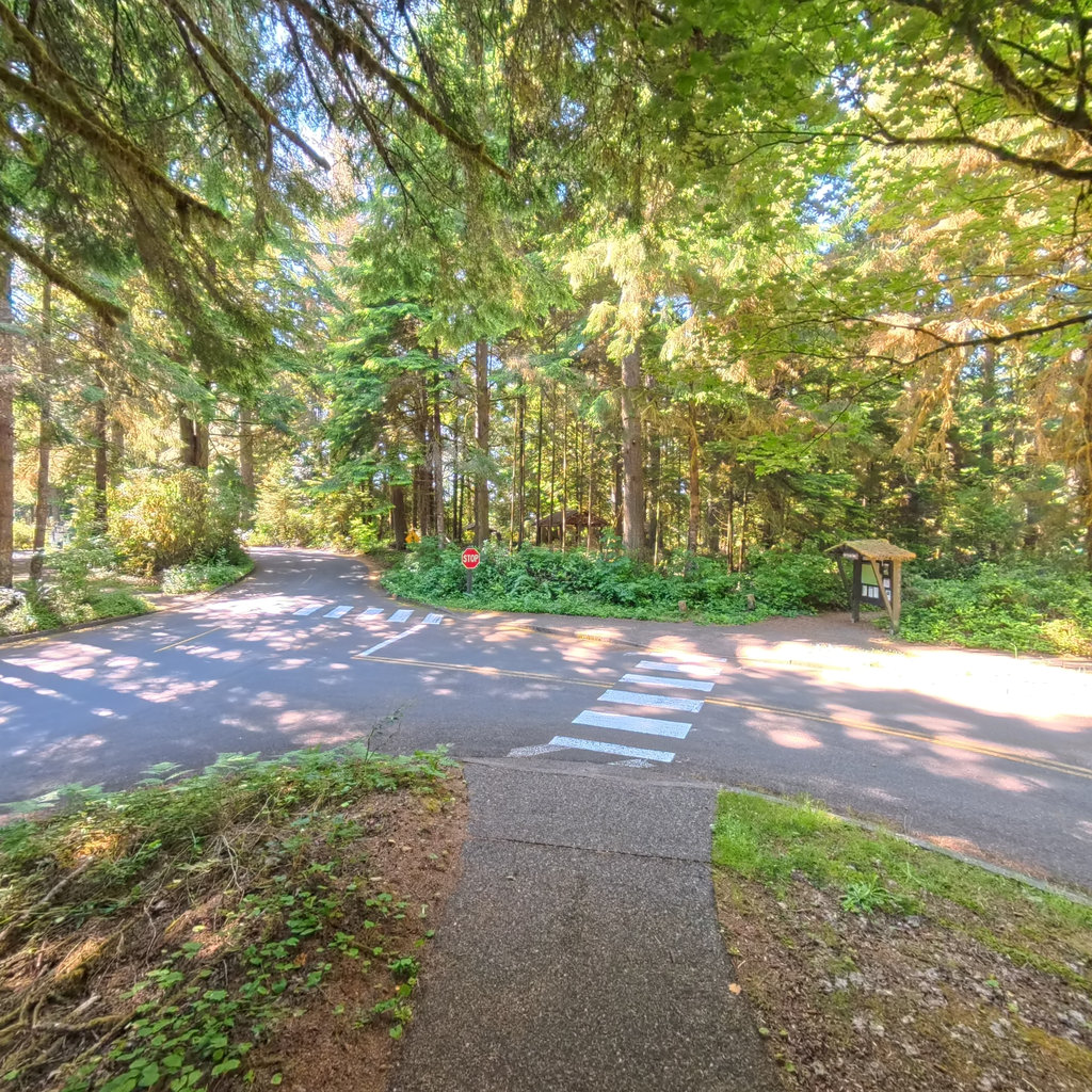 Fort to Sea Trail scene image looking forward