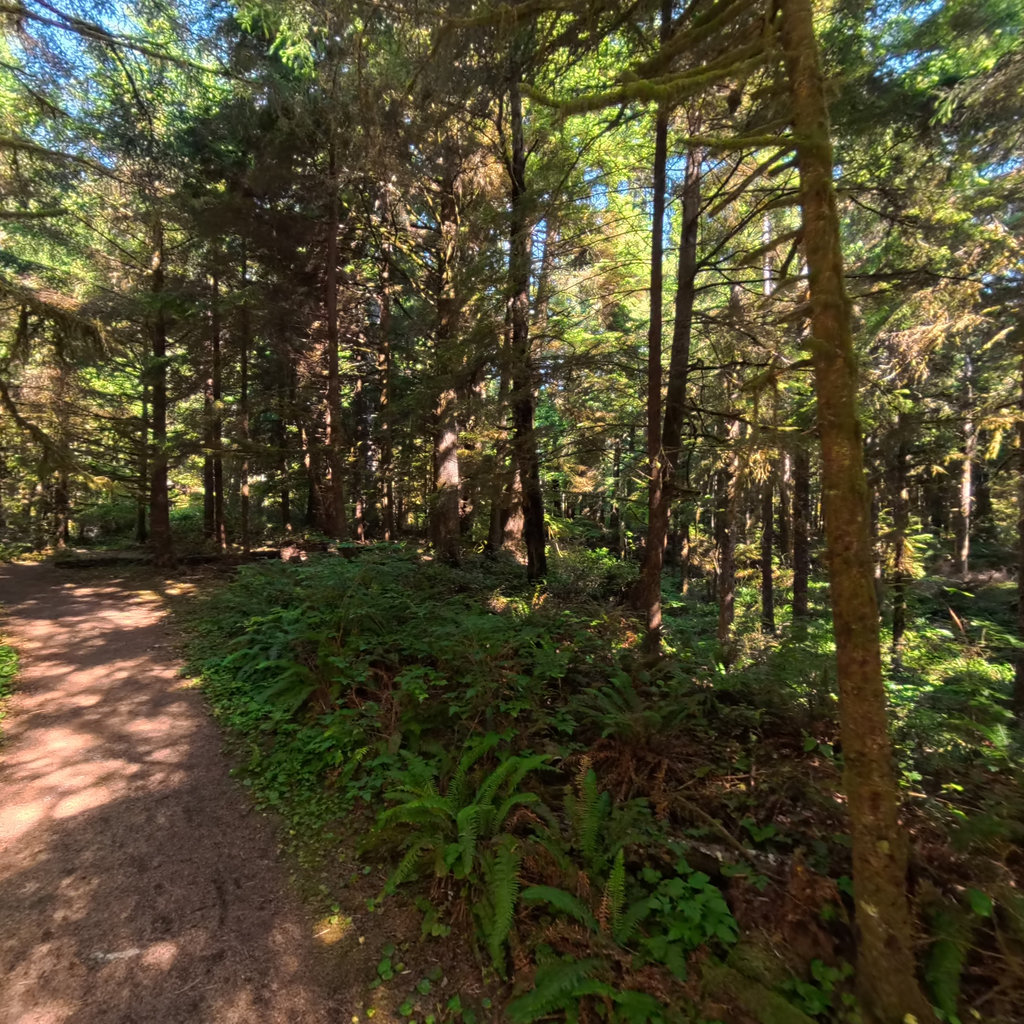 Fort to Sea Trail (full tour)