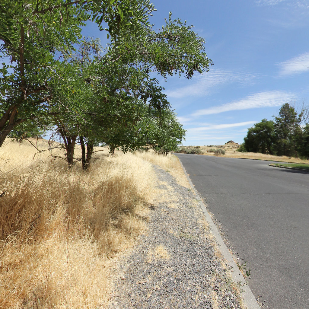 Hat Rock Trail scene image looking forward