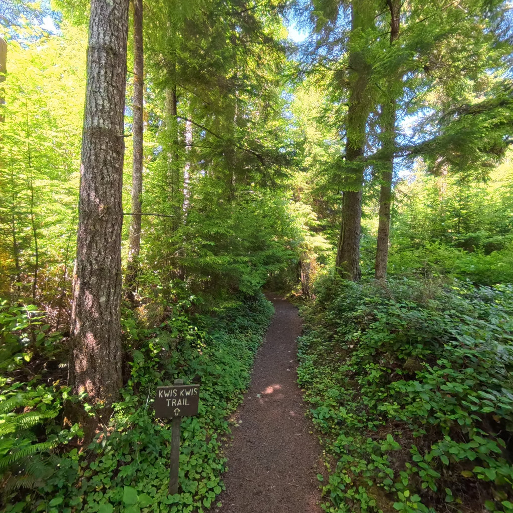 Kwis Kwis Trail scene image looking forward