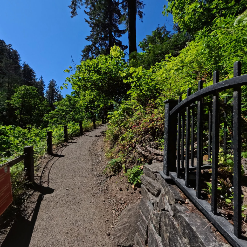 Multinomah Falls 1 scene image looking forward