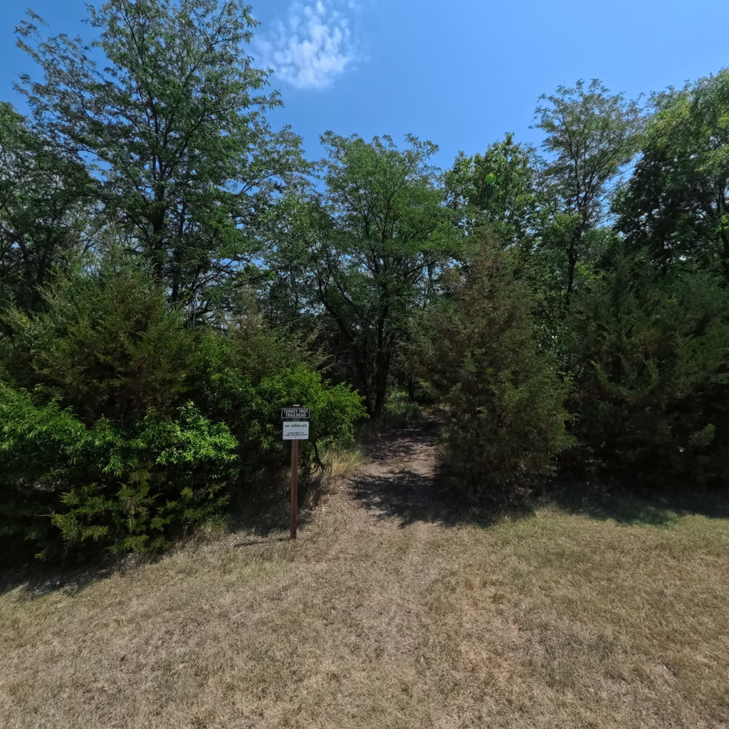 Turkey Trot Trail scene image looking forward