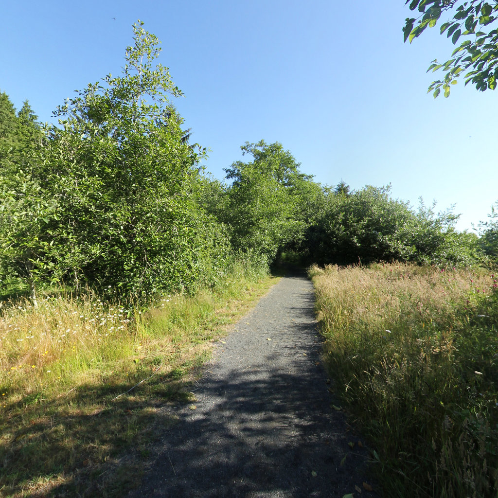 Netul River Trail scene image looking forward