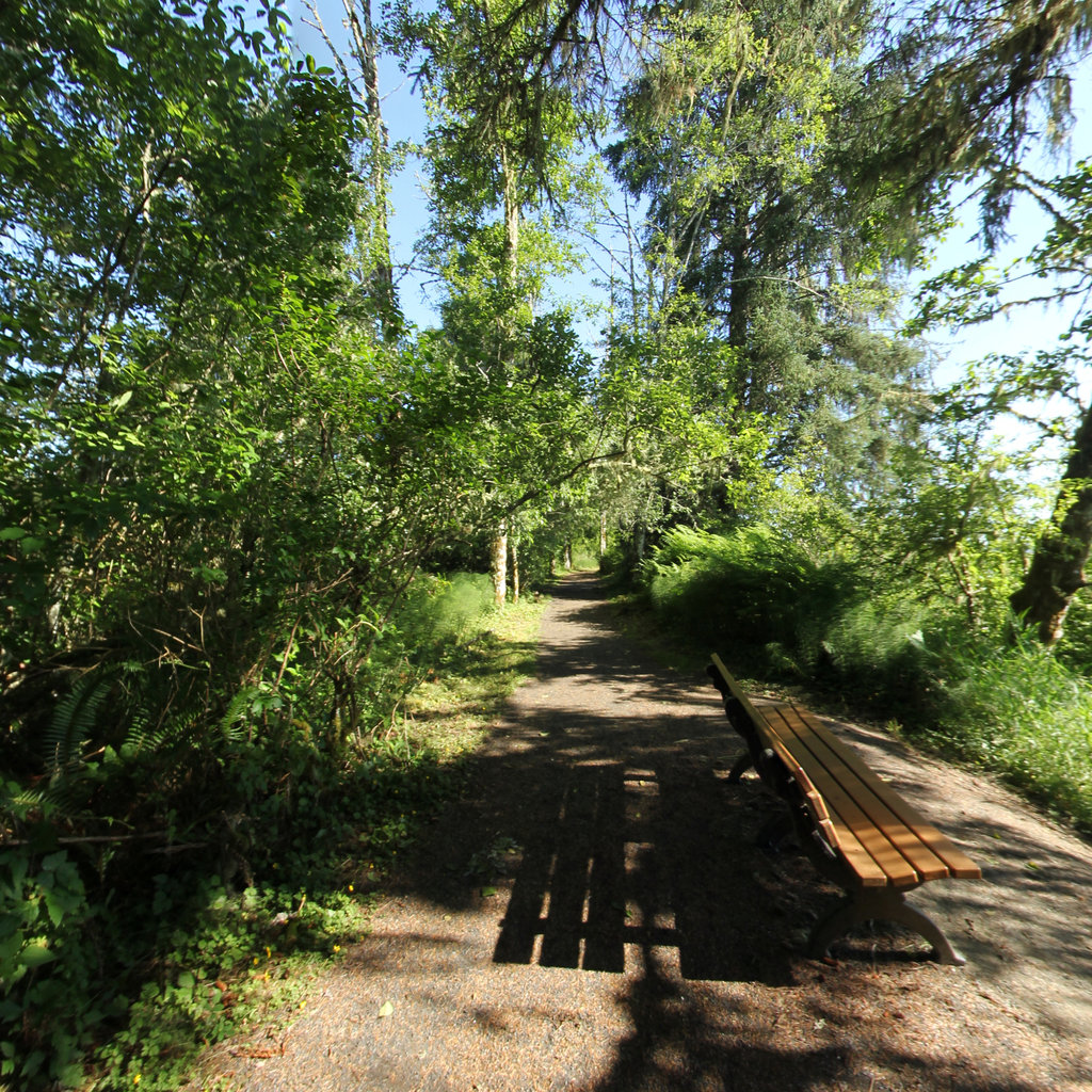 Terrain360 panorama near Fort Clatsop, winter quarters
