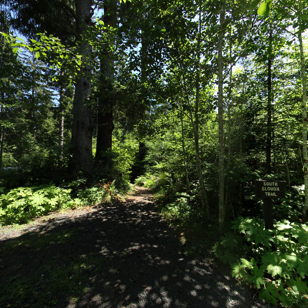 Slough to Sea Trail scene image looking forward