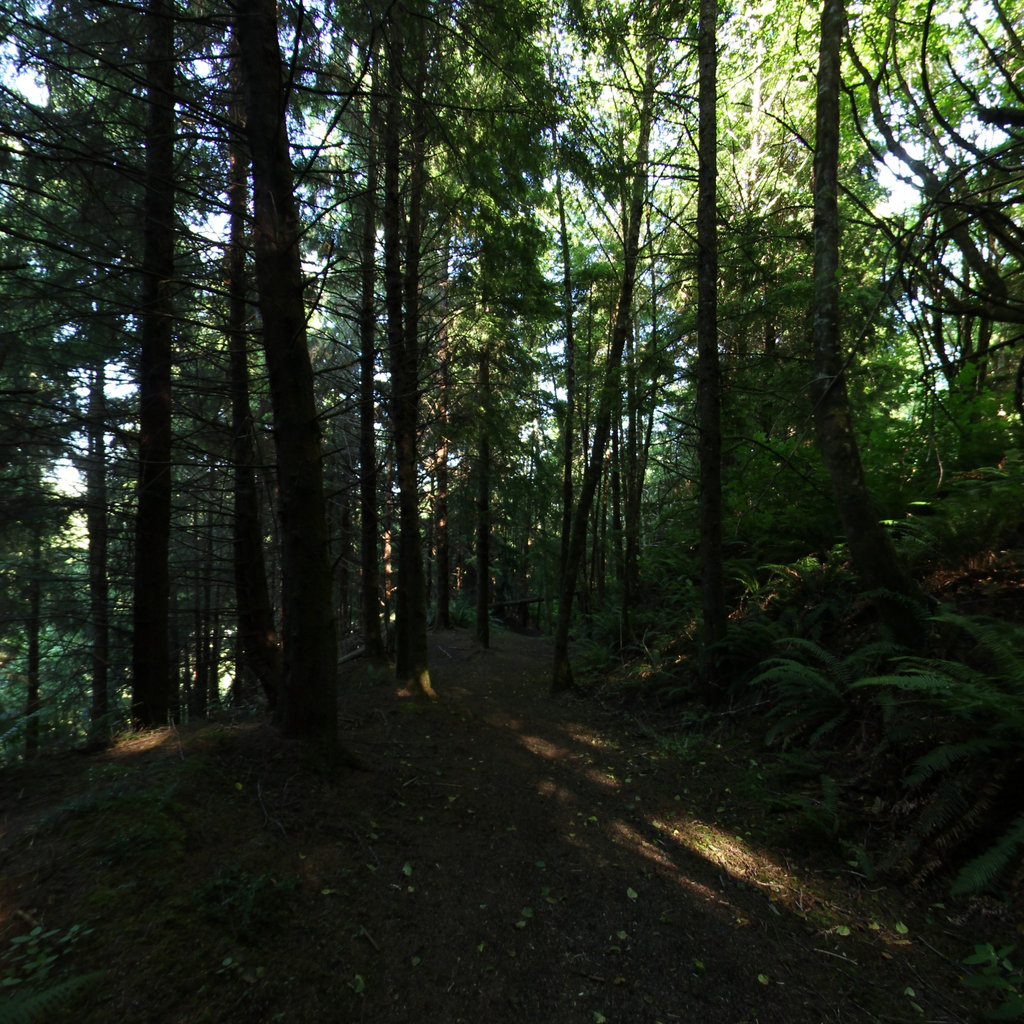 Terrain360 panorama near Fort Clatsop, Oregon