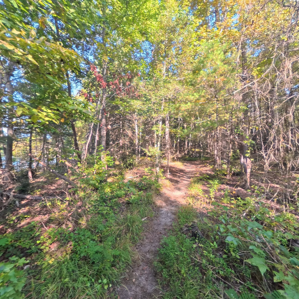 Overmountain Victory Trail
