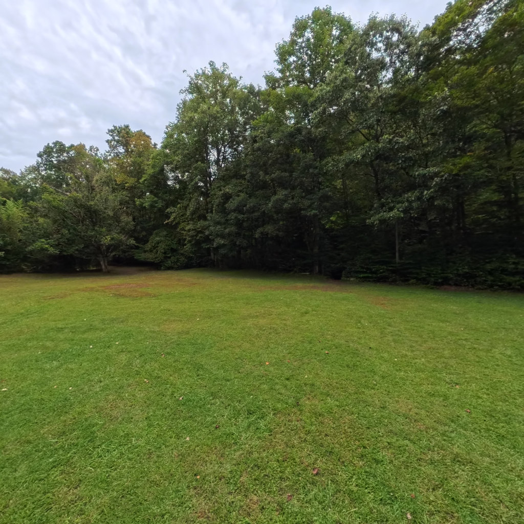 Tom Gray Trail scene image looking forward