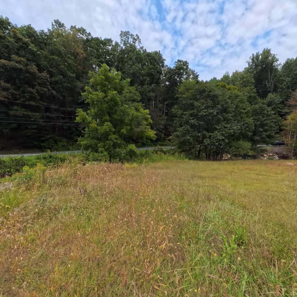 360° panoramic view of Jarrett Cemetery