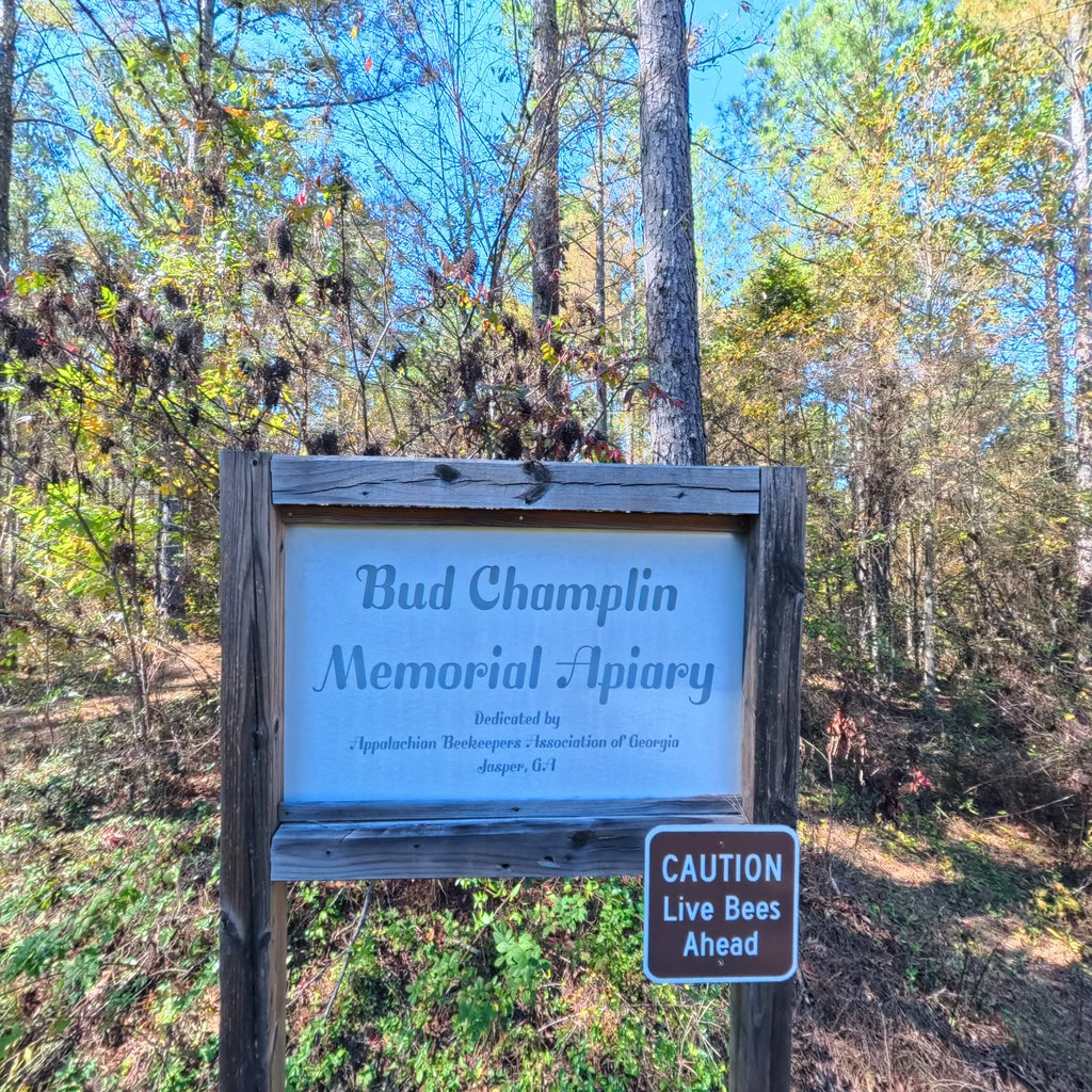 360° panoramic view of Apiary Meadow