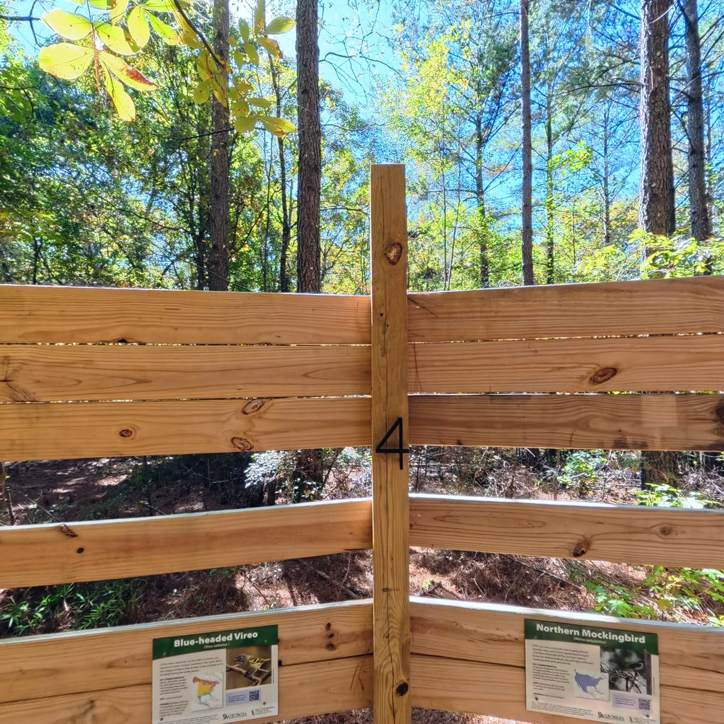 360° panoramic view of Hike to Bird Observatory #4