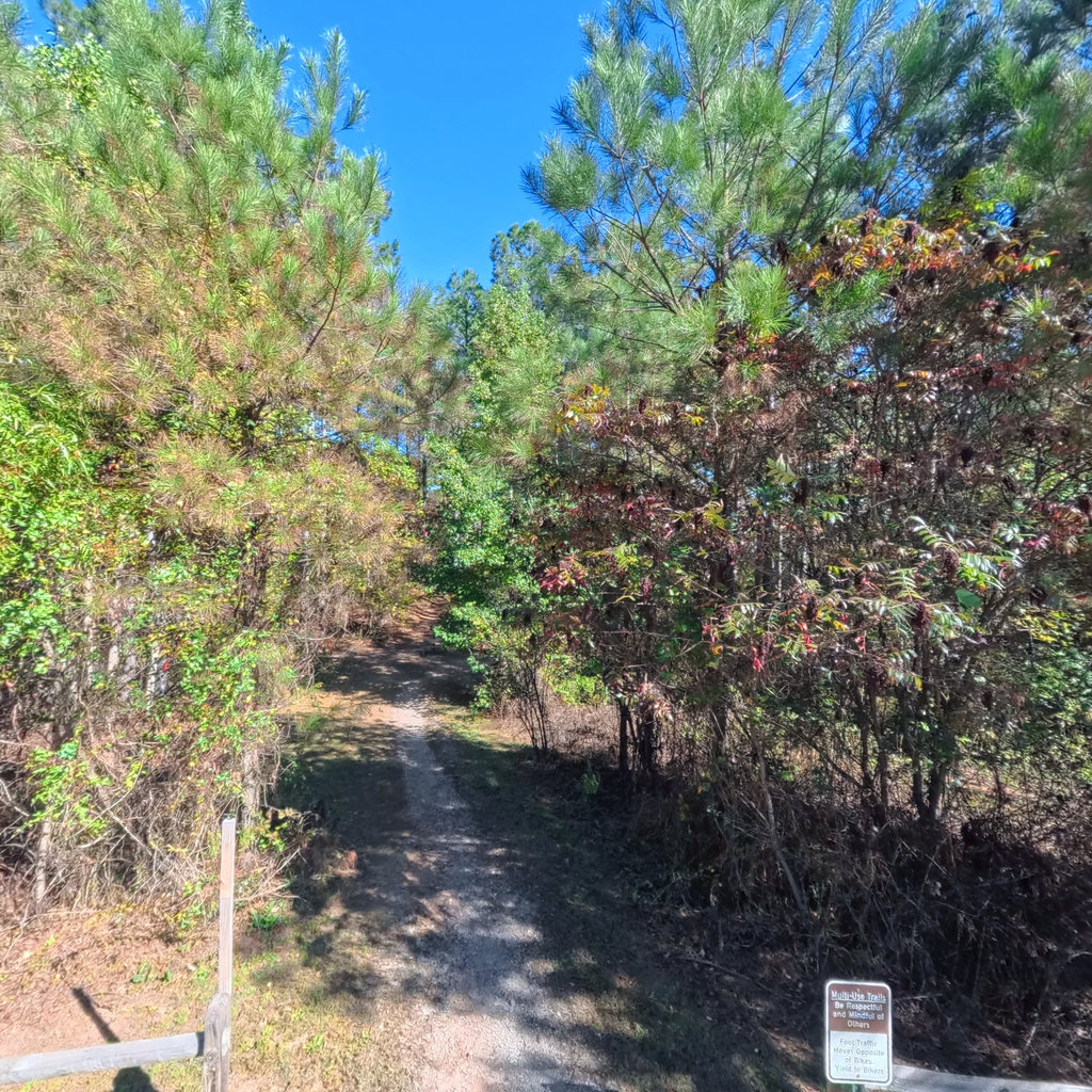 360° panoramic view of Blue Trail to Bird Observatory #2