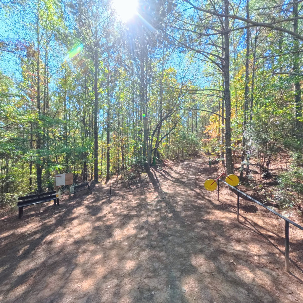 360° panoramic view of Jon's Trail Access (off Carnes Mill Rd)