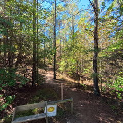 Apiary Meadow Trail to Bird Observatory #3