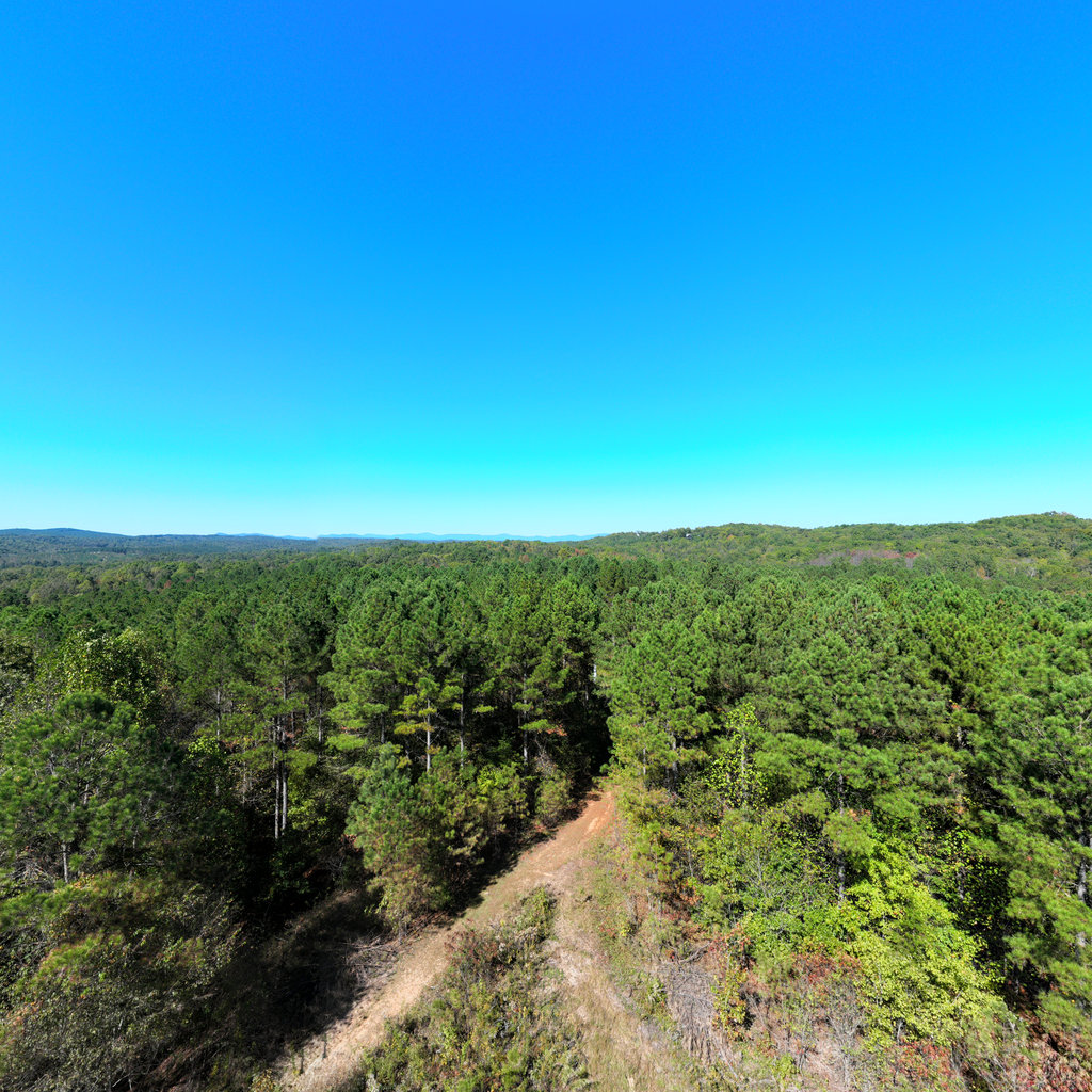 360° panoramic view of Bird Observatory #3 (Aerial View)