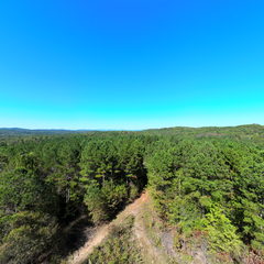 Bird Observatory #3 (Aerial View)