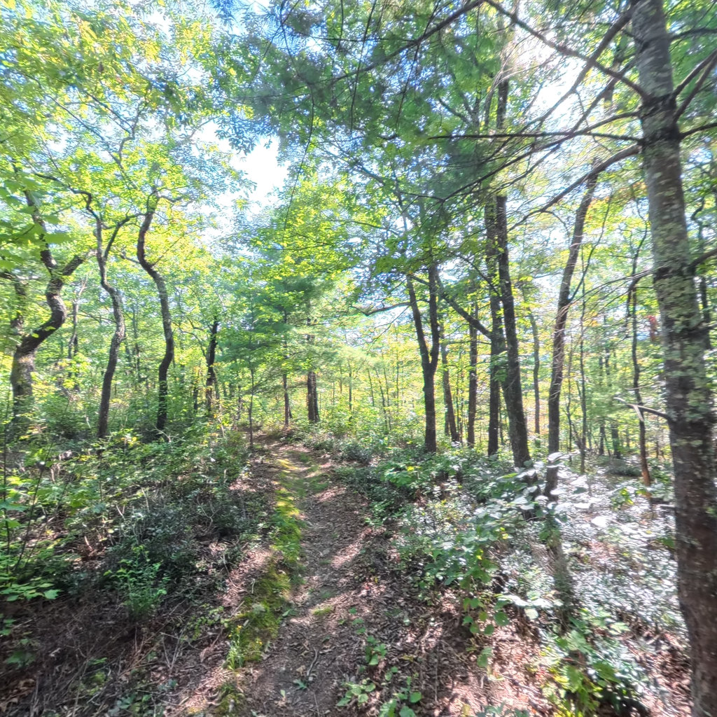 Overmountain Victory Trail